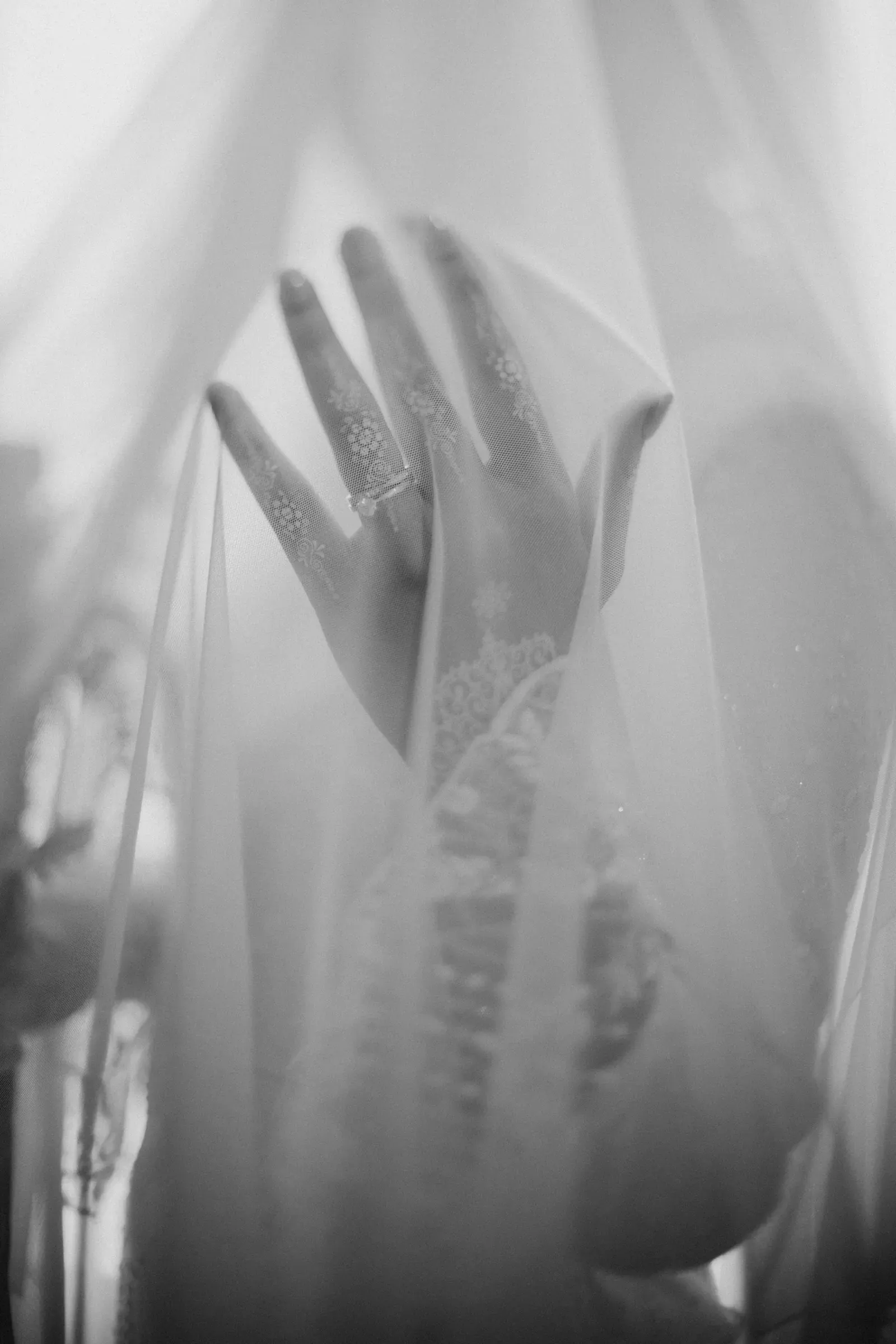 Wedding image pvl-1408