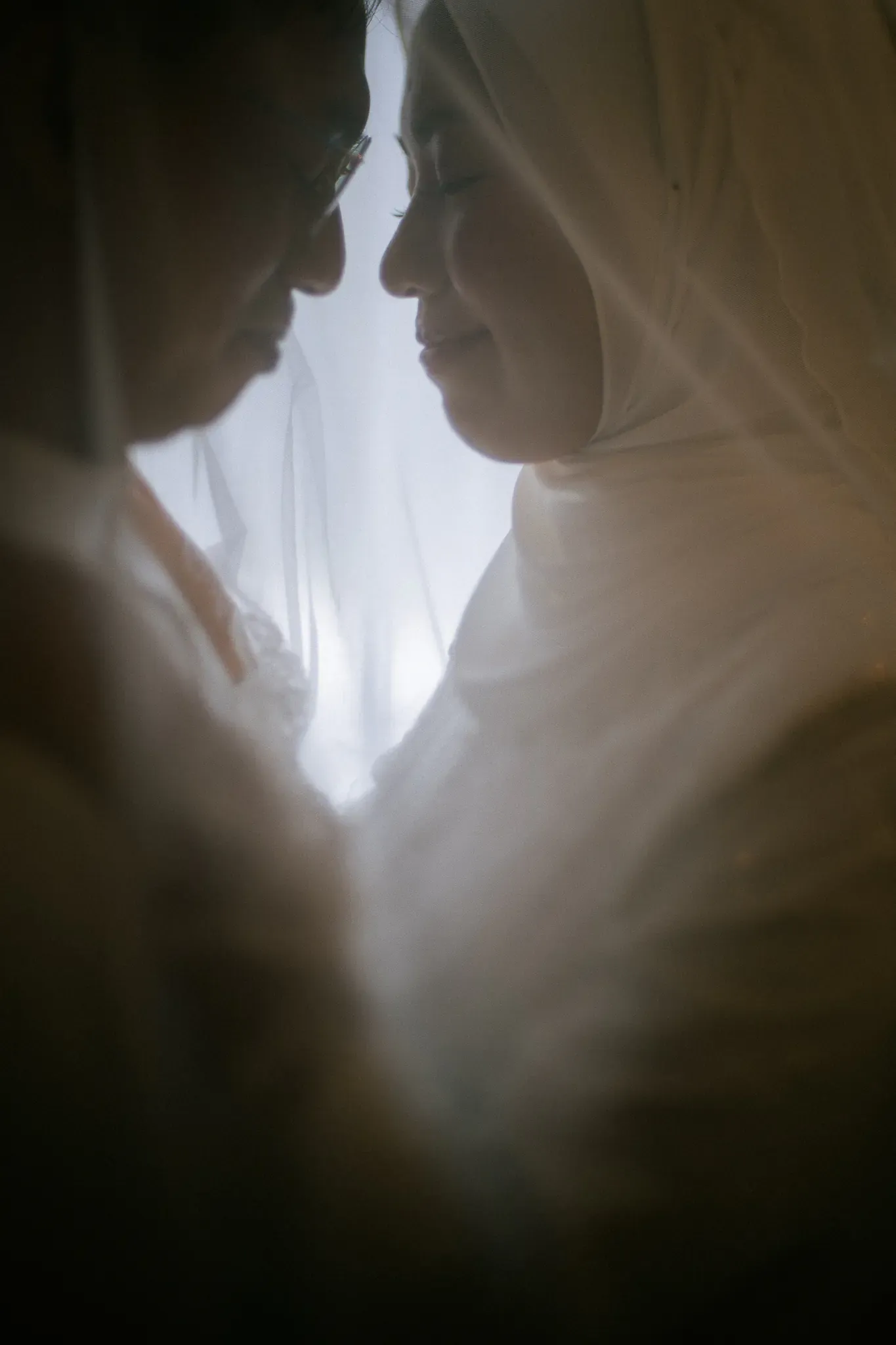 Wedding image pvl-524