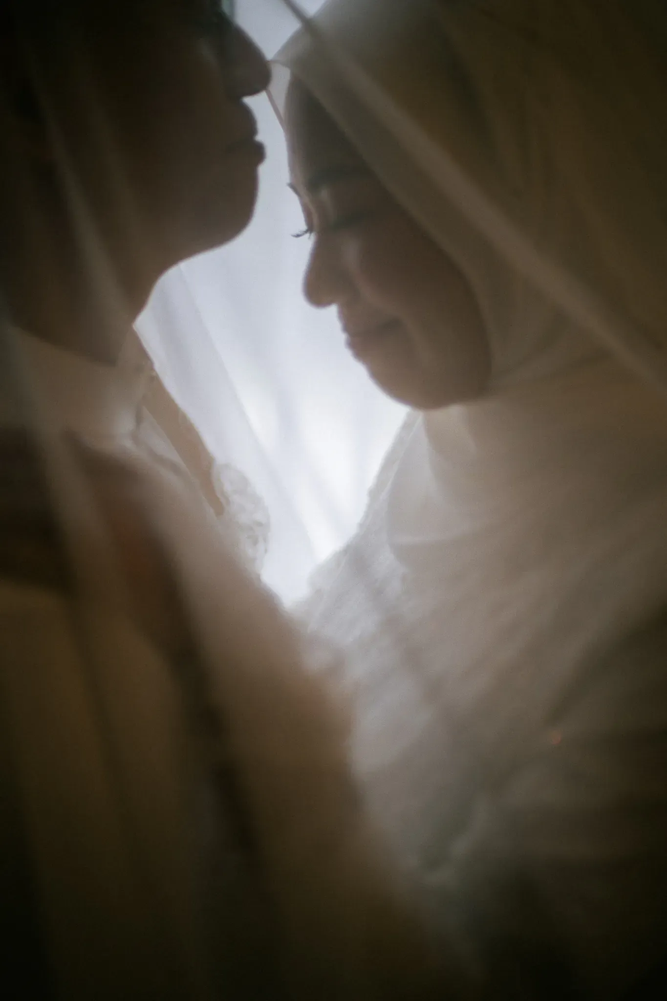 Wedding image pvl-525