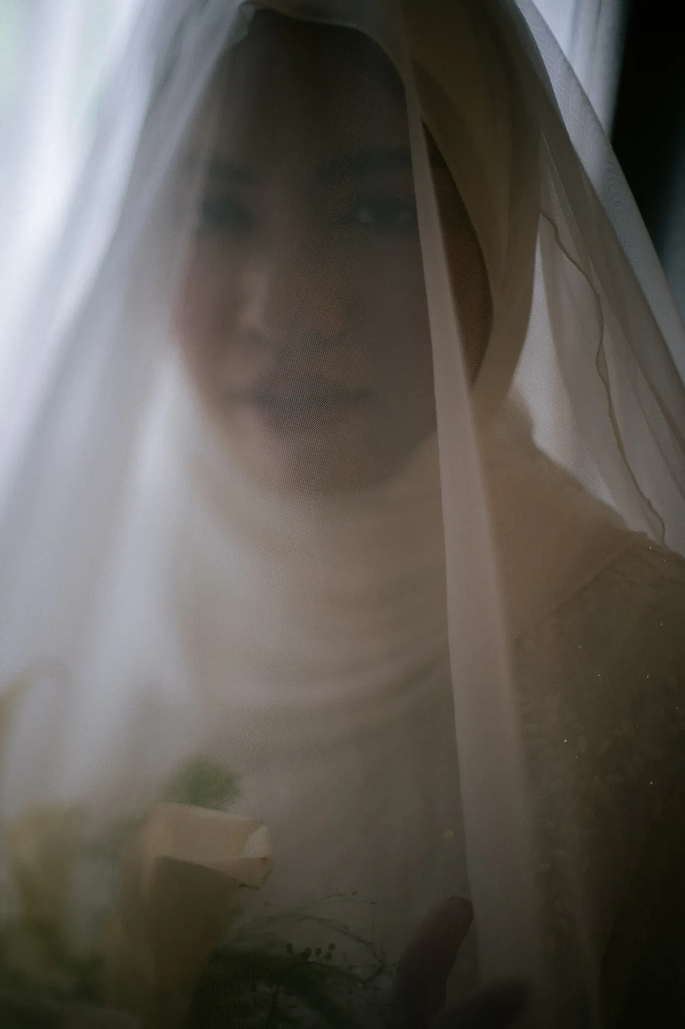 Wedding image pvl-528