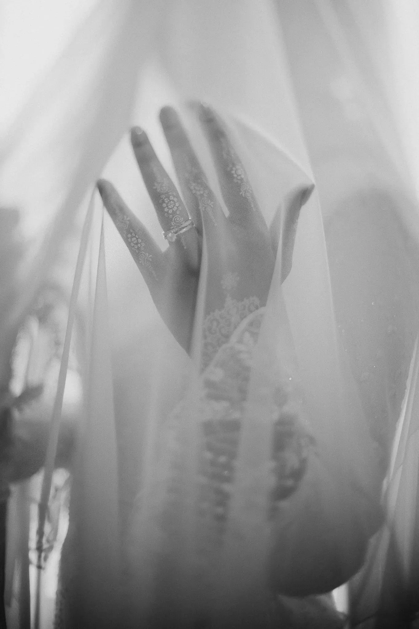 Wedding image pvl-530