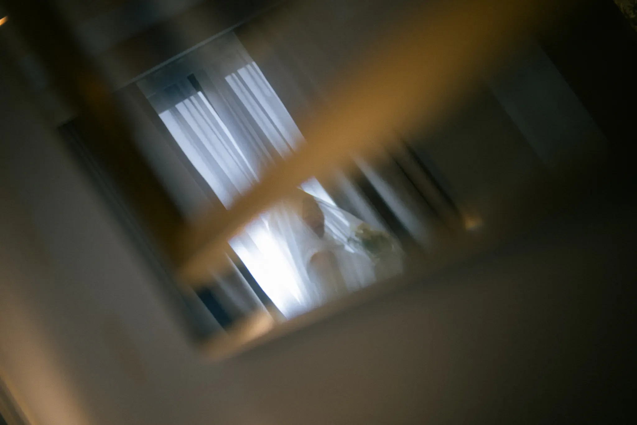 Wedding image pvl-532