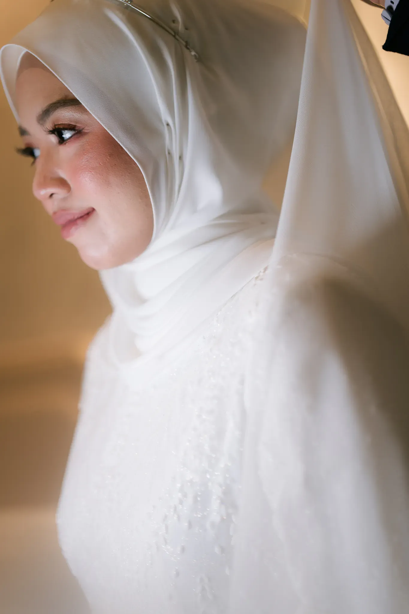 Wedding image pvl-69
