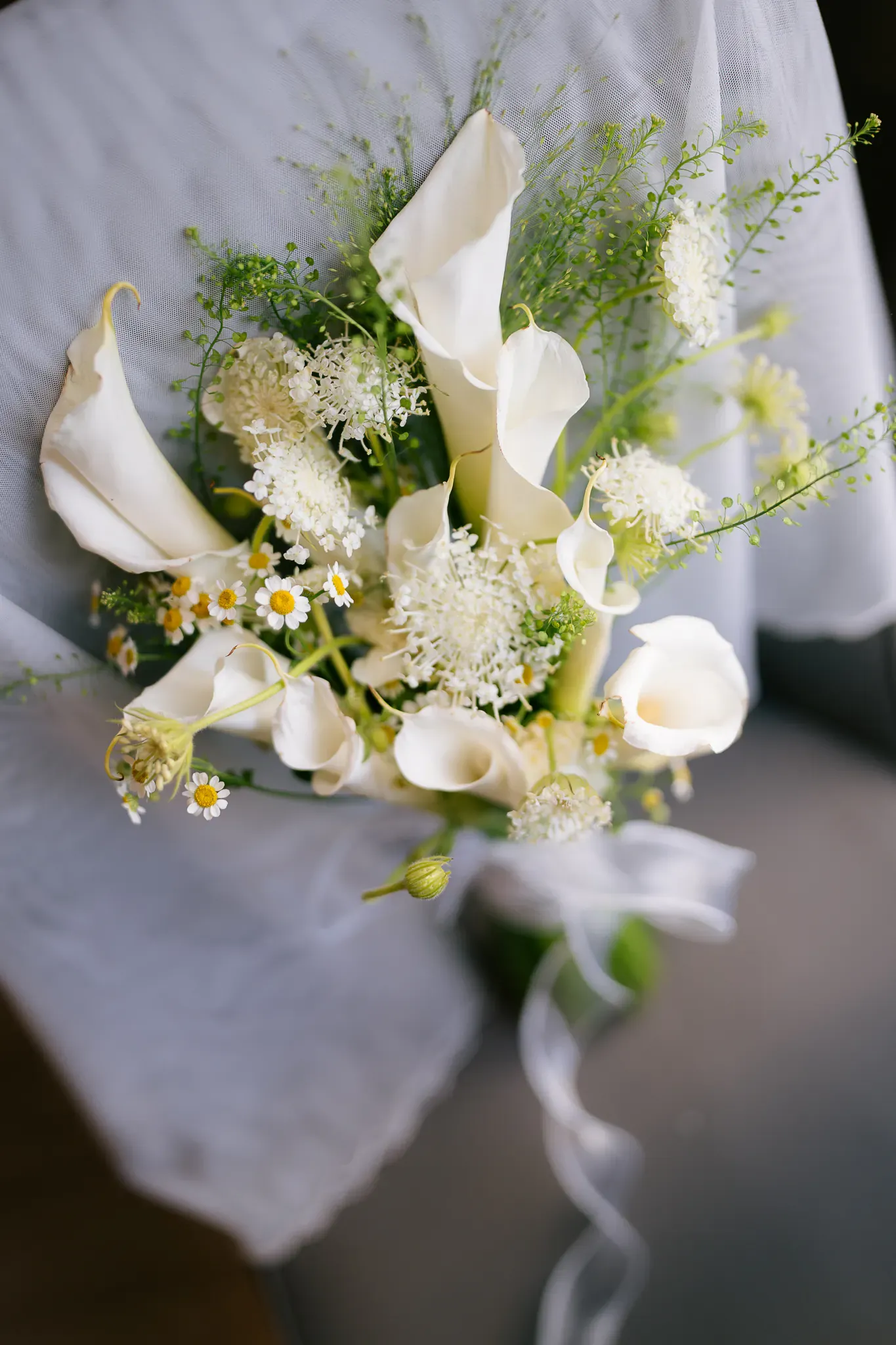 Wedding image pvl-7