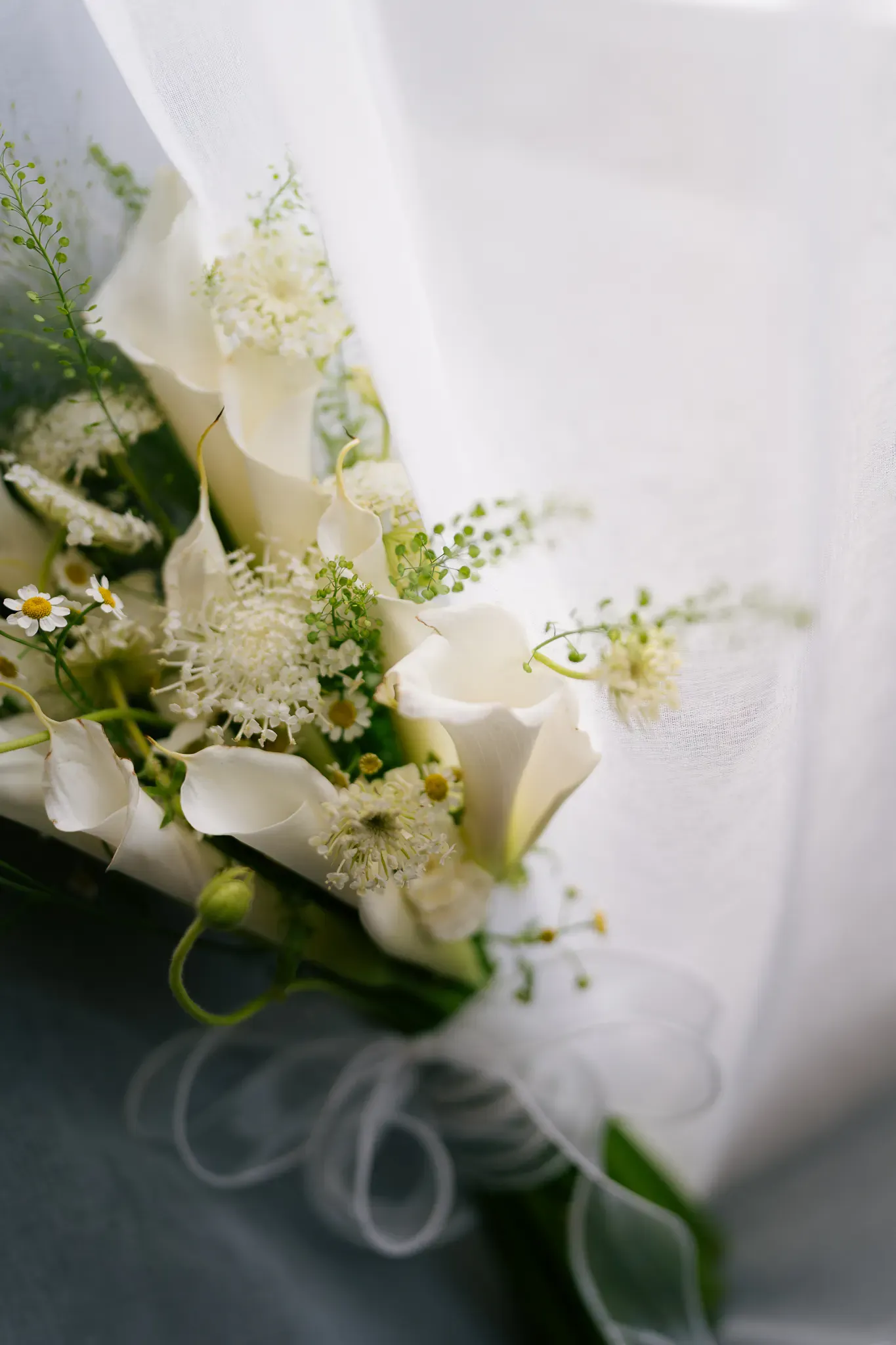 Wedding image pvl-8