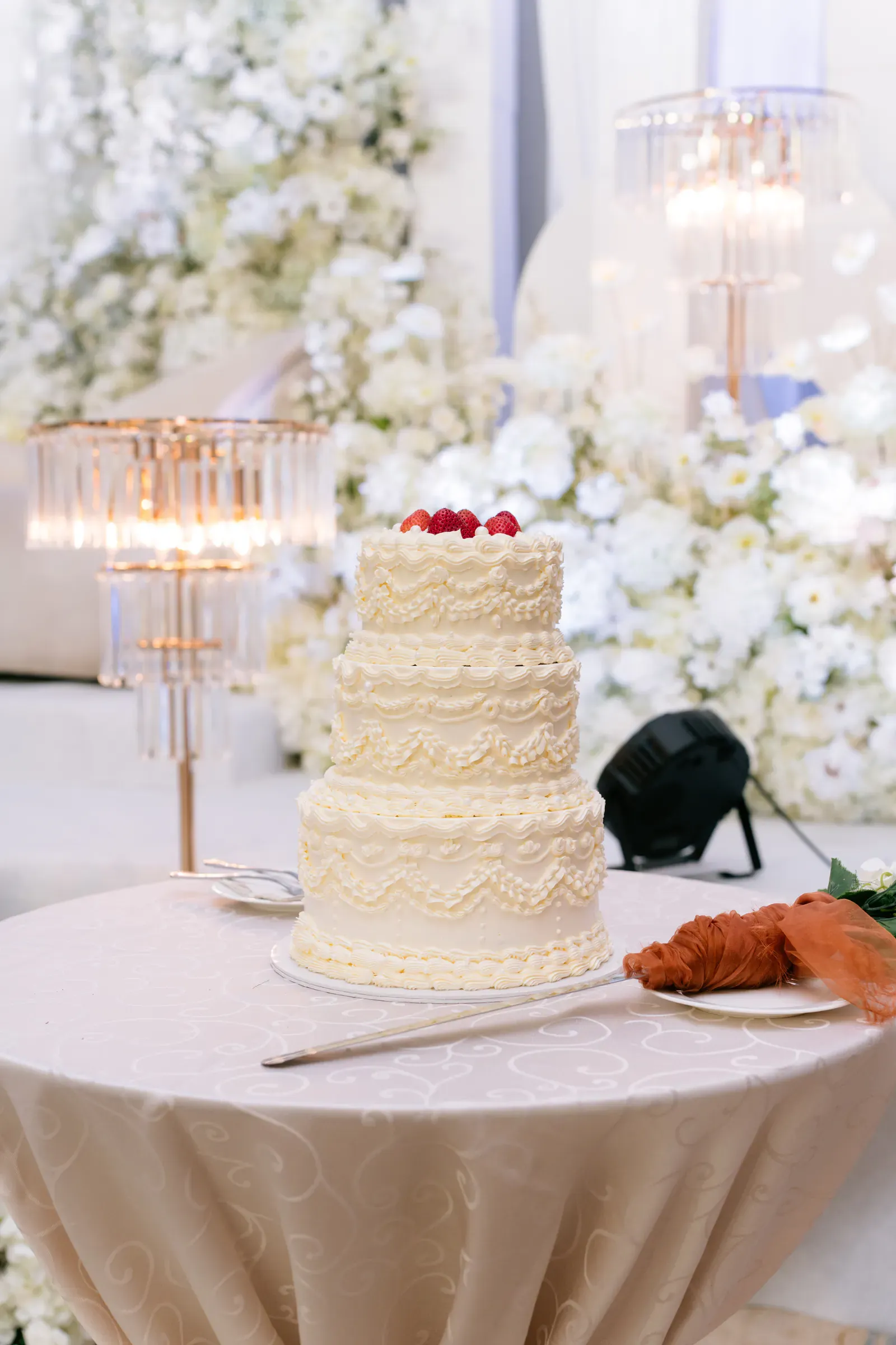 Wedding image pvl-963