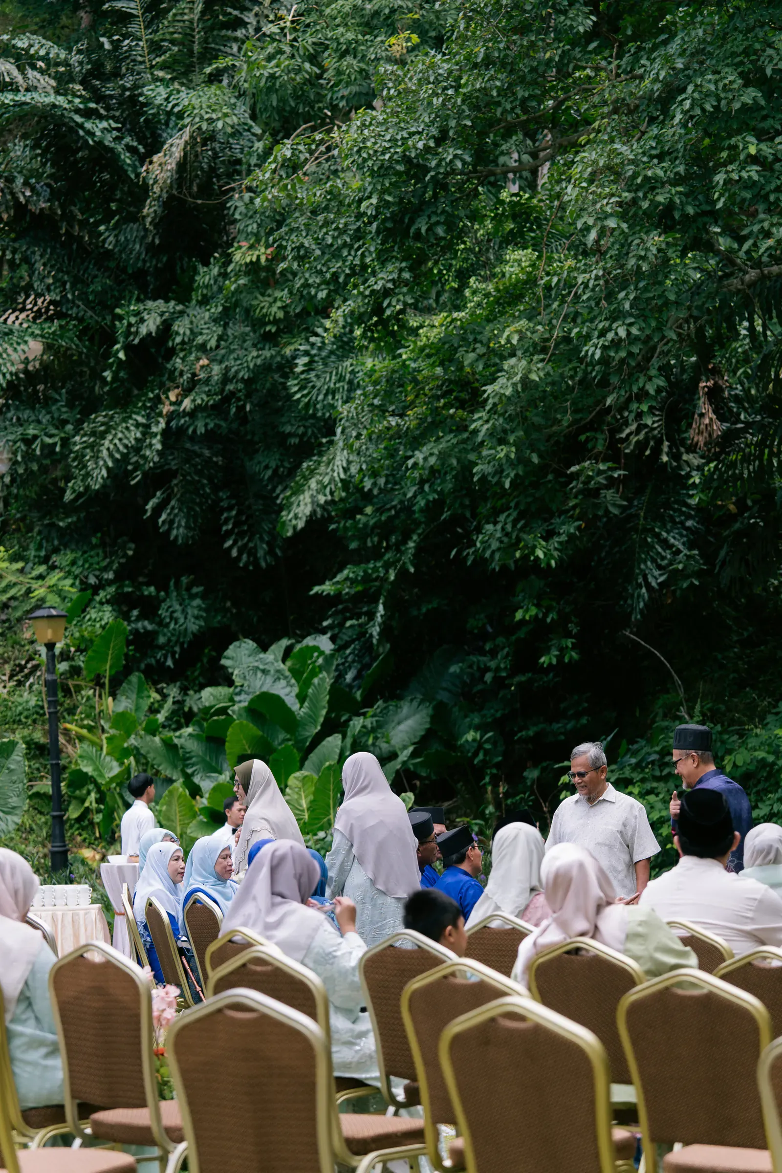 Wedding image pvlii-102